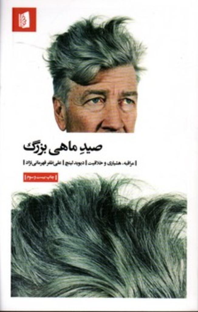 تصویر  صید ماهی بزرگ - مراقبه هشیاری و خلاقیت (رقعی-شمیز)